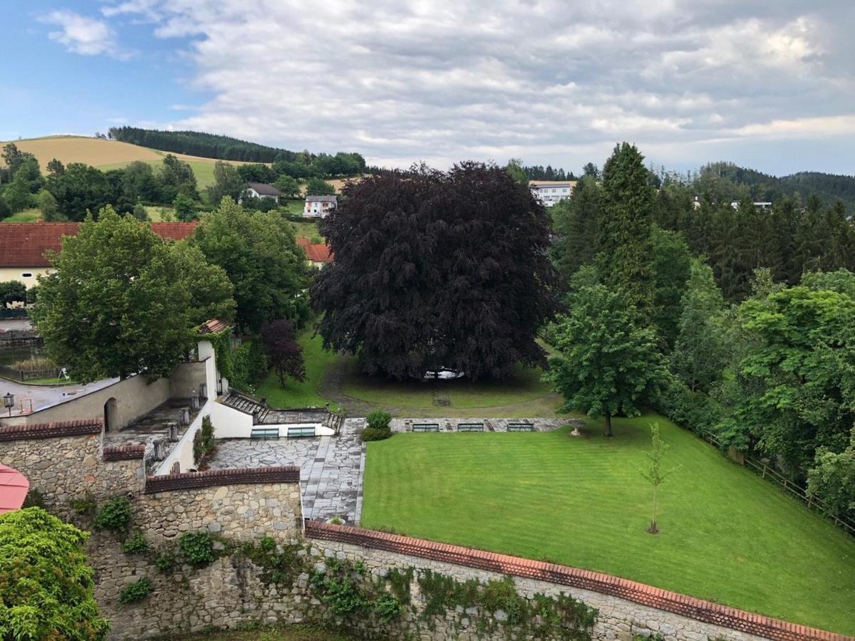 Schloss Weinberg Kefermarkt Kültér fotó